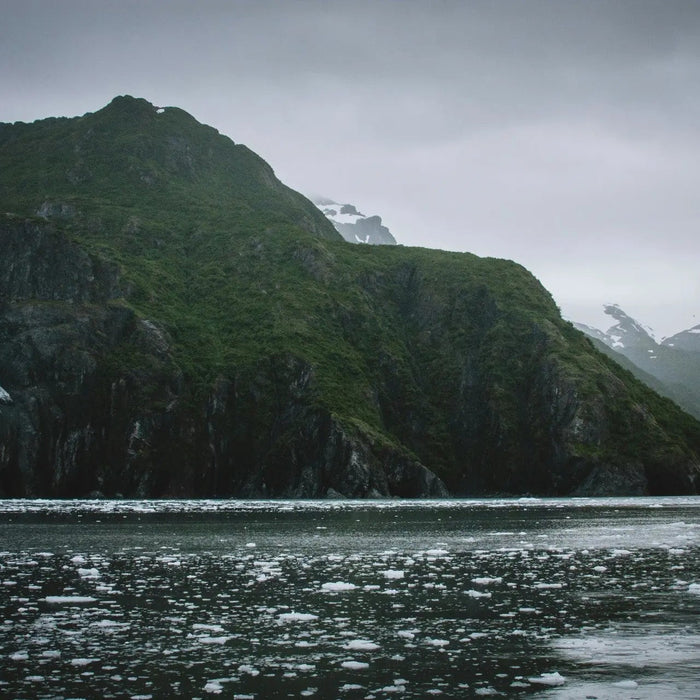 Boating in Alaska: A Guide to Navigating the Last Frontier by Sea - ORCA Retail US