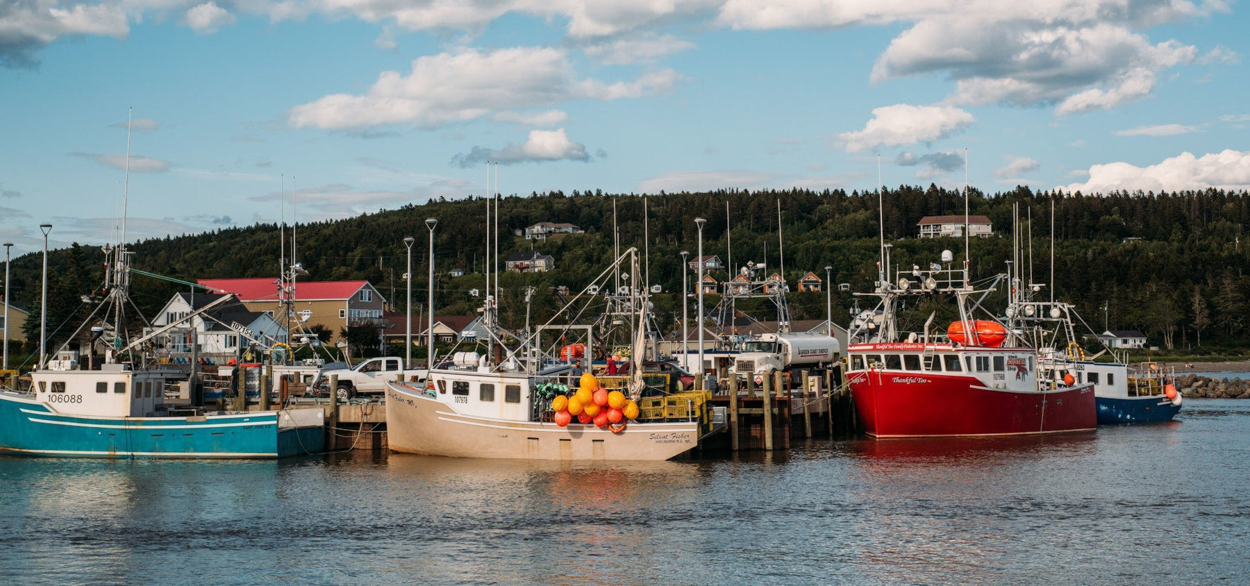 Boating in New Brunswick: A Guide to Navigating the Maritime Province’s Rivers and Coasts - ORCA Retail US