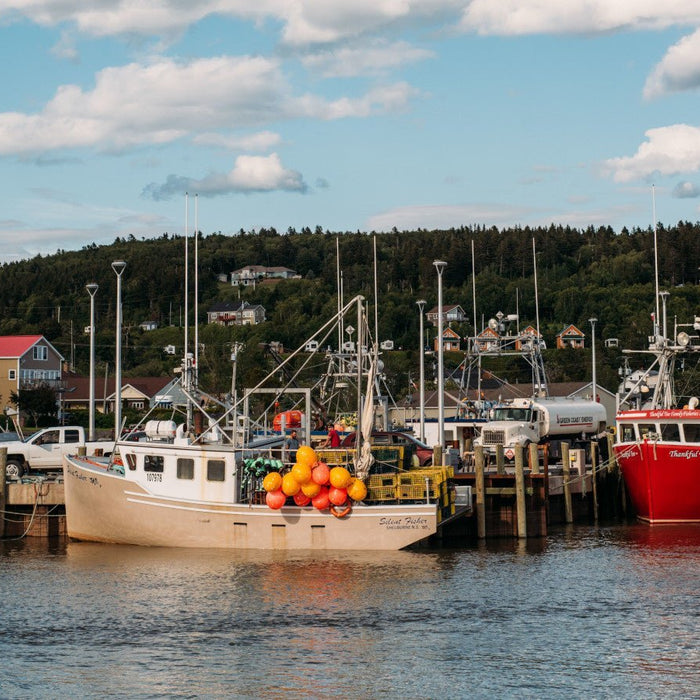 Boating in New Brunswick: A Guide to Navigating the Maritime Province’s Rivers and Coasts - ORCA Retail US