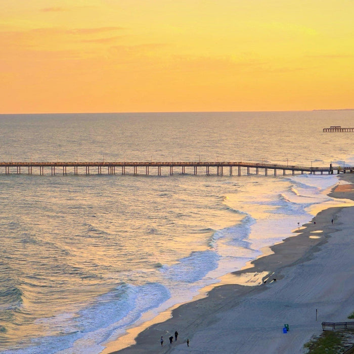 Boating in South Carolina: A Complete Guide to the Palmetto State - ORCA Retail US
