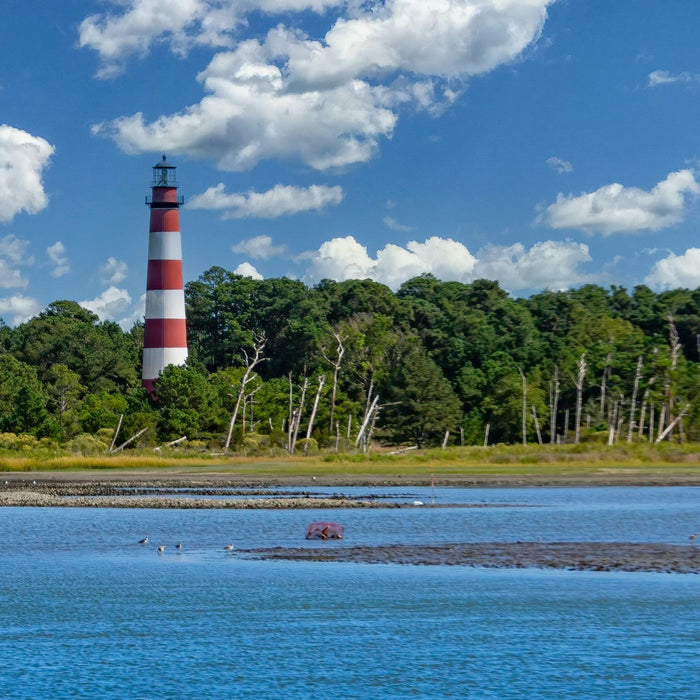 Boating in Virginia: A Guide to Navigating the Old Dominion and Chesapeake Bay - ORCA Retail US